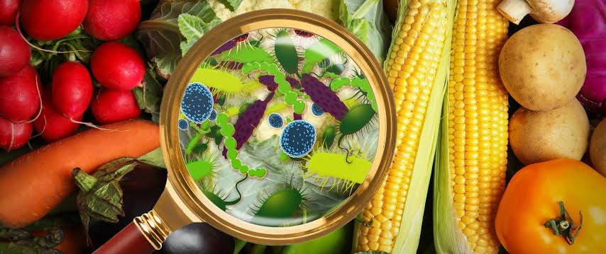 Summer Food Safety: How to Prevent Food Poisoning at Home